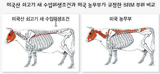 비교