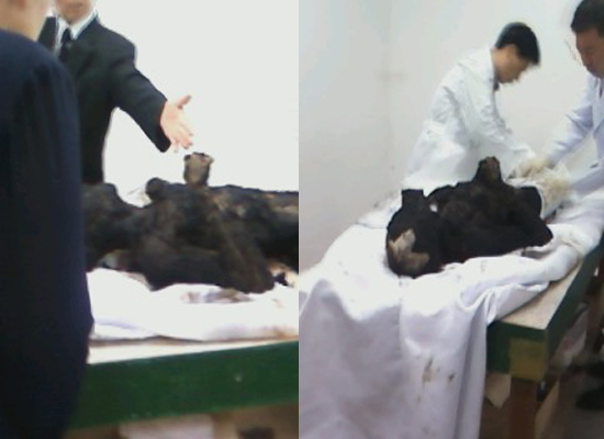 정진주유소 이미지